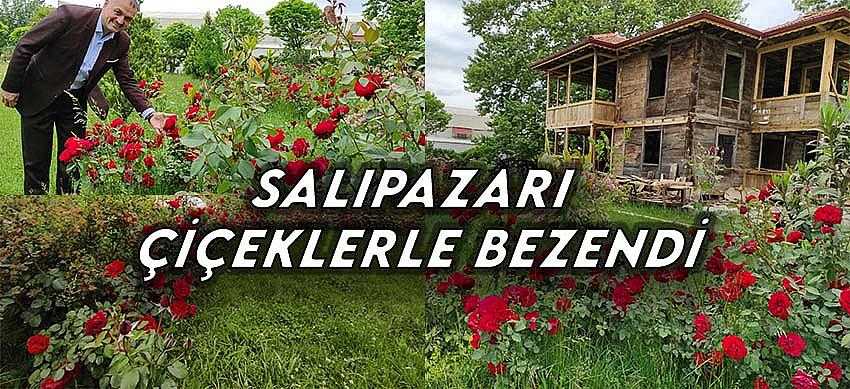 Salıpazarı Çiçeklerle Bezendi
