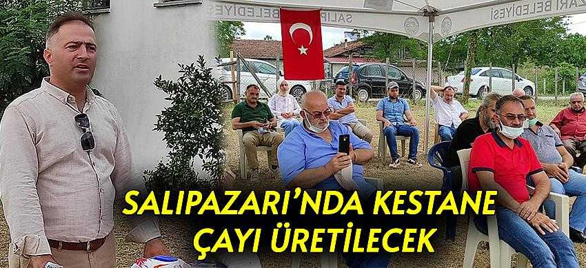 Salıpazarı’nda Kestane Çayı Üretilecek