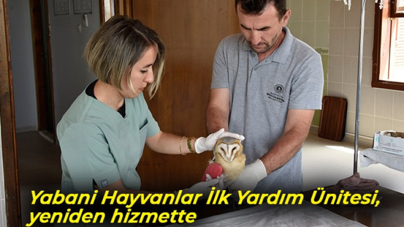 Samsun'da Yabani Hayvanlar İlk Yardım Ünitesi, yeniden hizmette