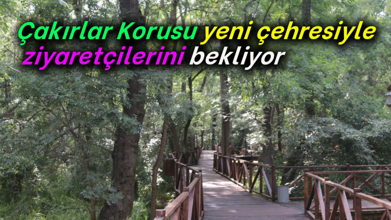 Çakırlar Korusu yeni çehresiyle  ziyaretçilerini bekliyor