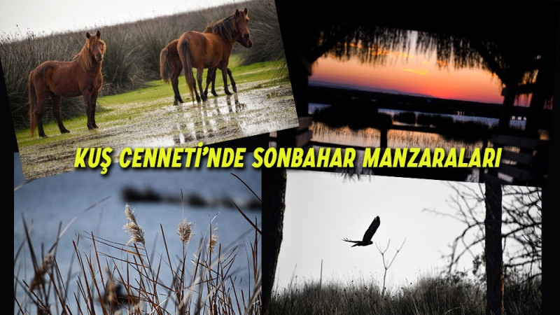 Kuş Cenneti’nde Sonbahar Manzaraları