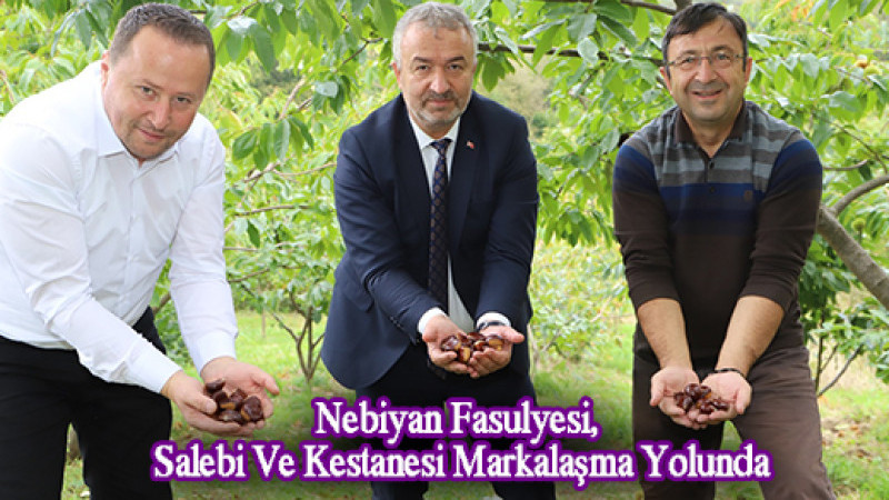 Nebiyan Fasulyesi, Salebi Ve Kestanesi Markalaşma Yolunda