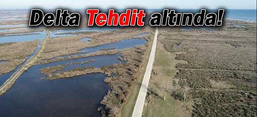 Delta Tehdit altında!