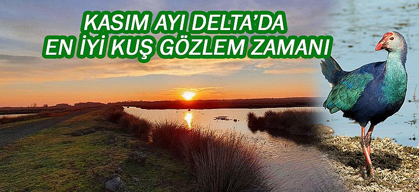 Kasım Ayı Delta’da En iyi Kuş Gözlem Zamanı